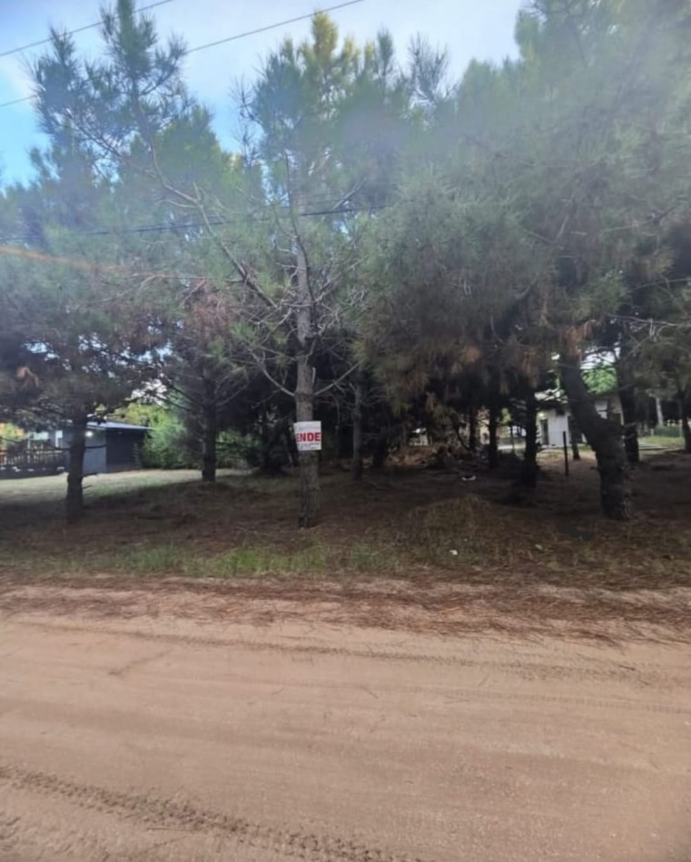 LOTE