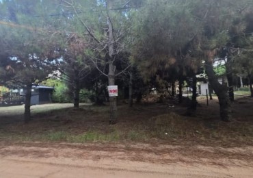 LOTE