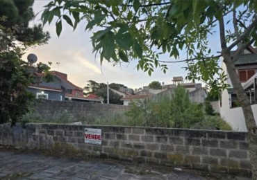LOTE SOBRE ASFALTO